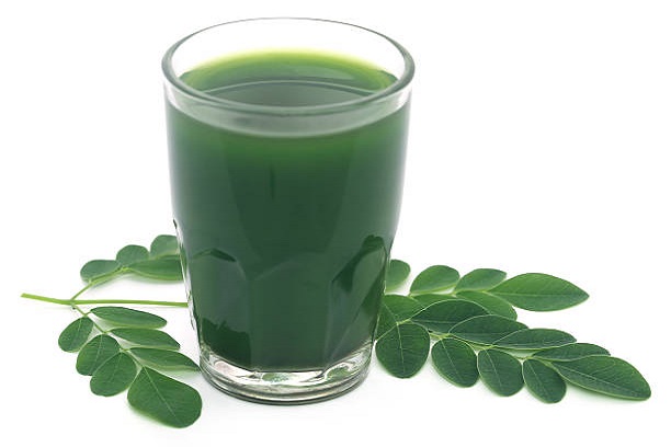 Daun Kelor sebagai Detoks Alami Membersihkan Tubuh dari Toksin